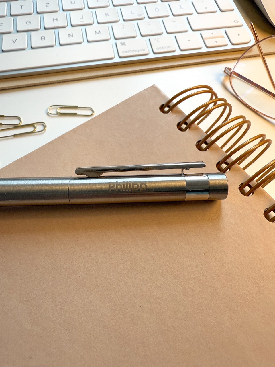 Personalisierter Kugelschreiber aus Edelstahl mit Gravur & Geschenkbox zu Weihnachten | Mistelzweig