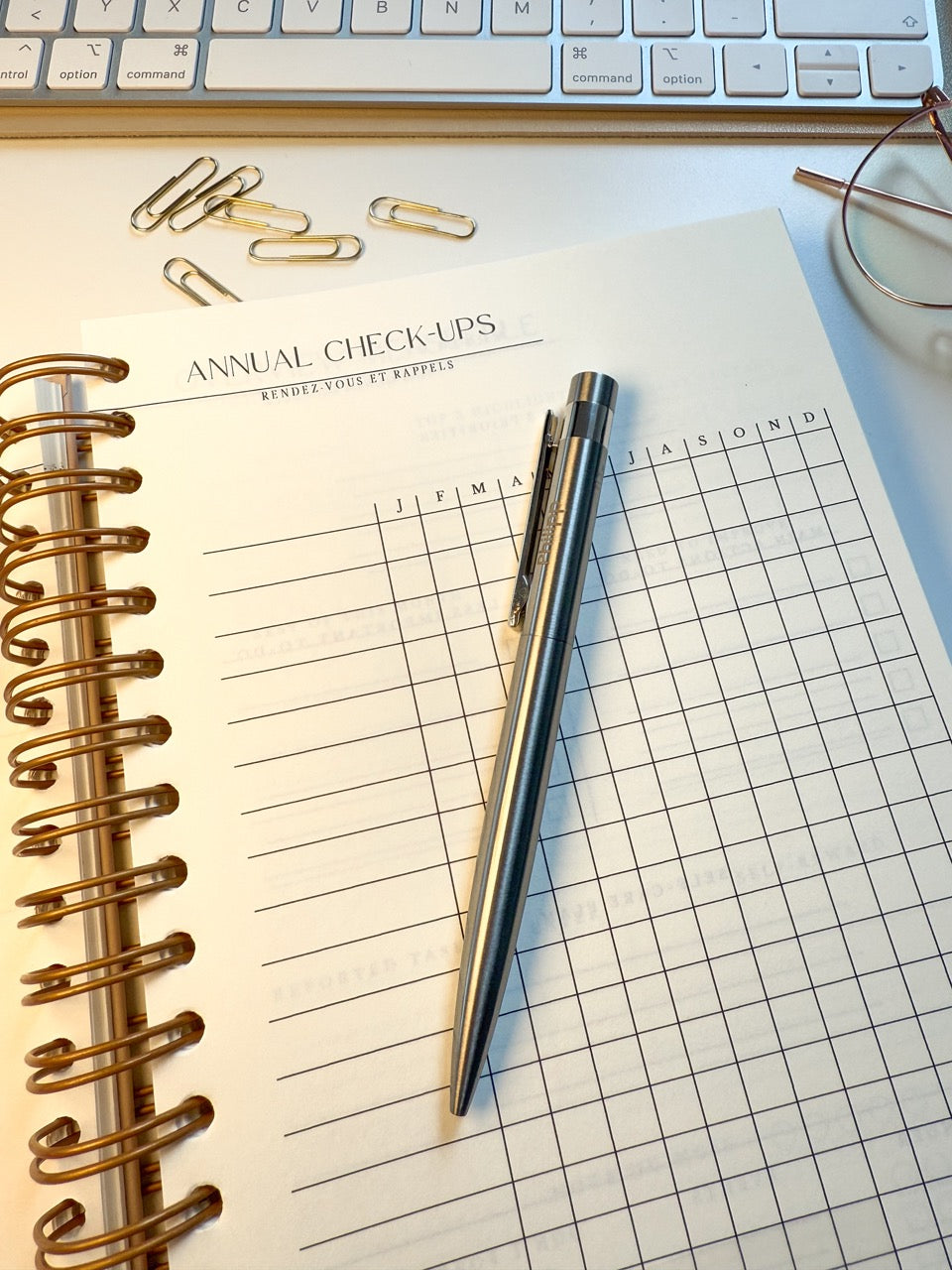 Personalisierter Kugelschreiber aus Edelstahl mit Gravur & Geschenkbox zu Weihnachten | Mistelzweig