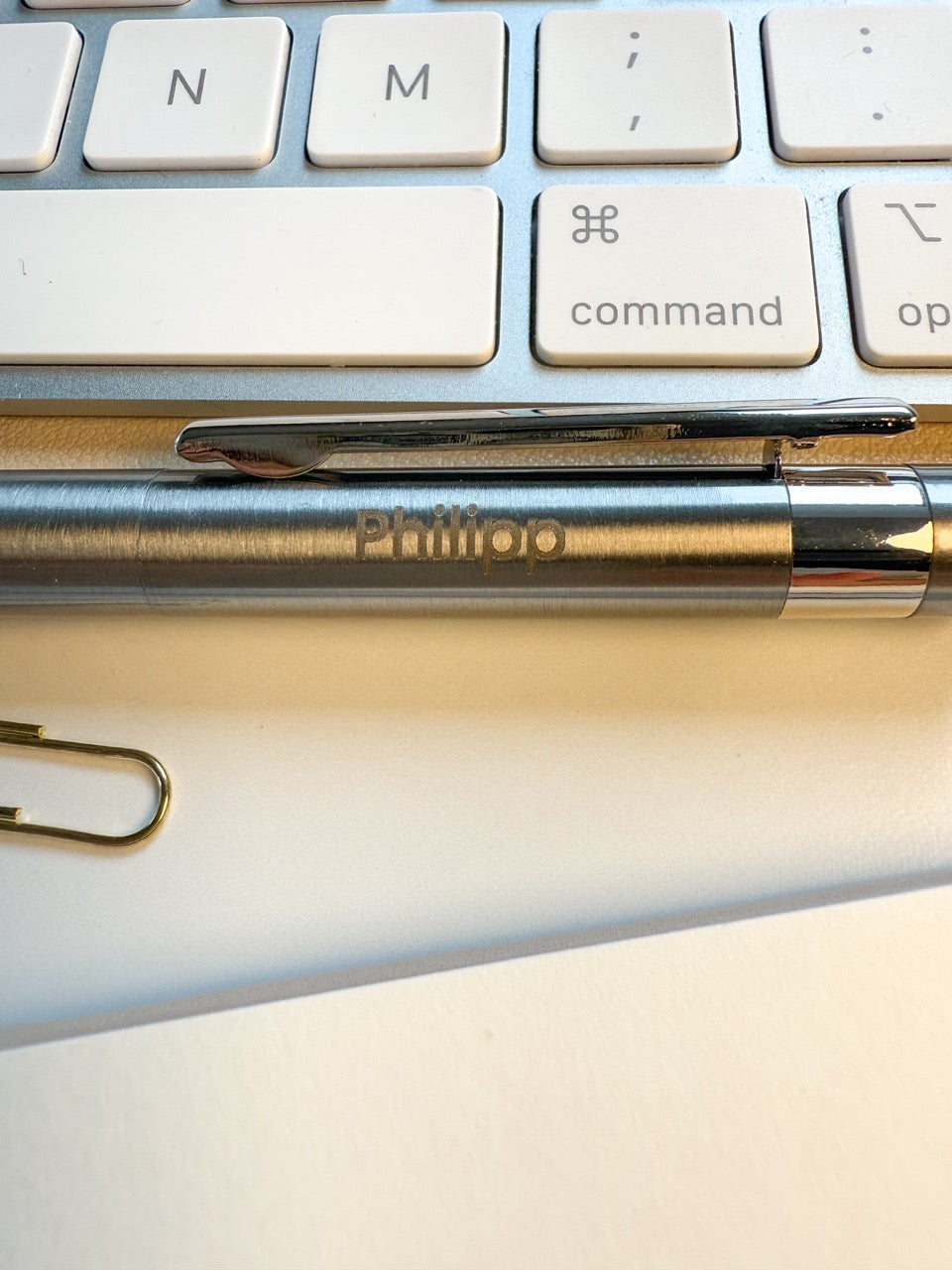 Personalisierter Kugelschreiber aus Edelstahl mit Gravur & Geschenkbox zu Weihnachten | Mistelzweig